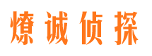 元坝市调查公司